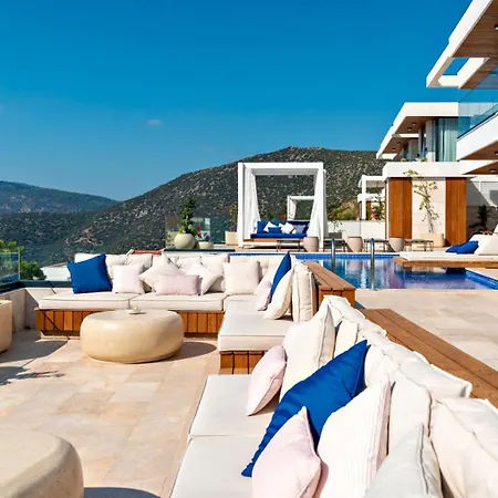 5 Bedroom 3911